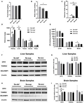 Juvenile Selenium Deficiency Impairs Cognition, Sensorimotor Gating, and Energy Homeostasis in Mice